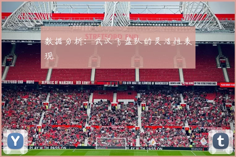 数据分析：武汉飞盘队的灵活性表现