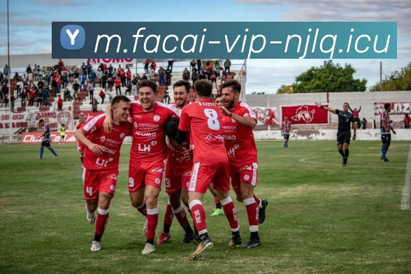 乐鱼体育注册发展历程