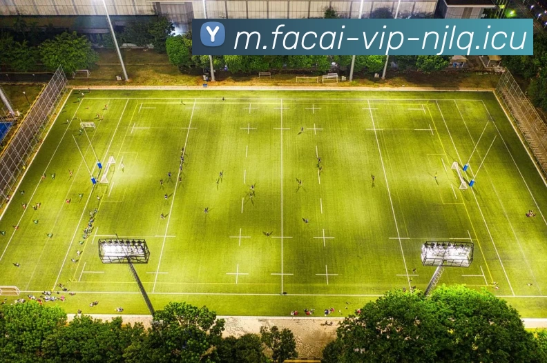 追逐梦想的脚步足球明星励志片段激励你我前行